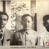 Buy Now Muvee Reviews Bootstrap HTML5 Template